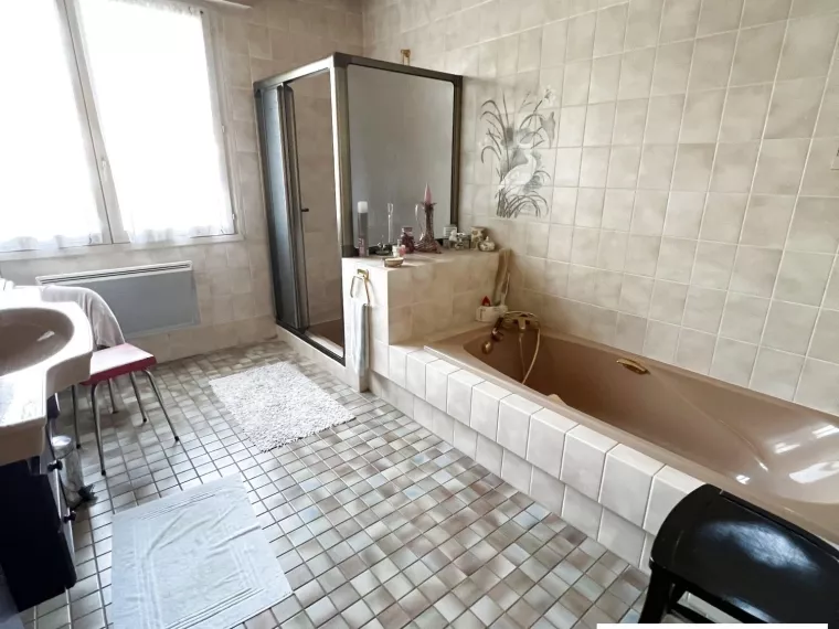 GRANDE MAISON DE VILLE AVEC ETANG SUR 1 HECTARE A OUZOUER SUR LO