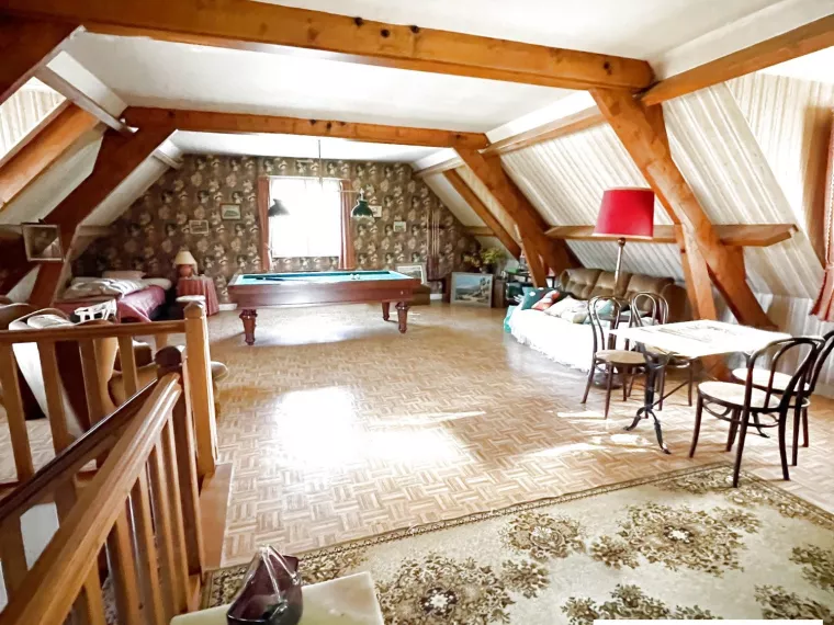 GRANDE MAISON DE VILLE AVEC ETANG SUR 1 HECTARE A OUZOUER SUR LO