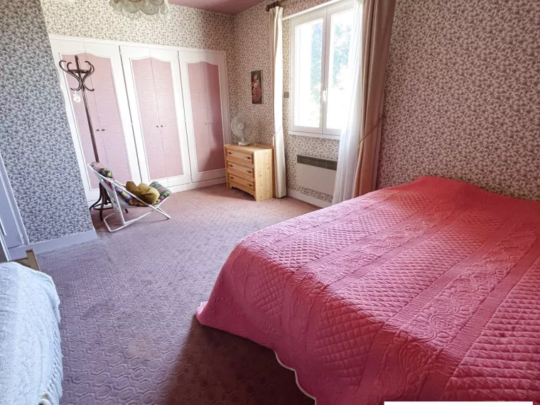 GRANDE MAISON DE VILLE AVEC ETANG SUR 1 HECTARE A OUZOUER SUR LO