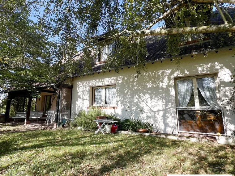 GRANDE MAISON DE VILLE AVEC ETANG SUR 1 HECTARE A OUZOUER SUR LO