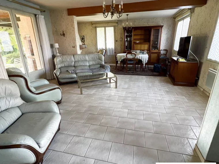 GRANDE MAISON DE VILLE AVEC ETANG SUR 1 HECTARE A OUZOUER SUR LO