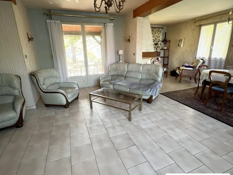 GRANDE MAISON DE VILLE AVEC ETANG SUR 1 HECTARE A OUZOUER SUR LO