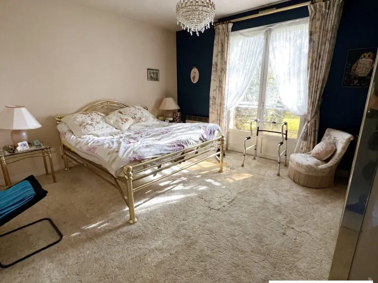 GRANDE MAISON DE VILLE AVEC ETANG SUR 1 HECTARE A OUZOUER SUR LO
