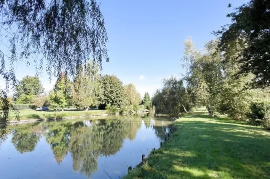 GRANDE MAISON DE VILLE AVEC ETANG SUR 1 HECTARE A OUZOUER SUR LO