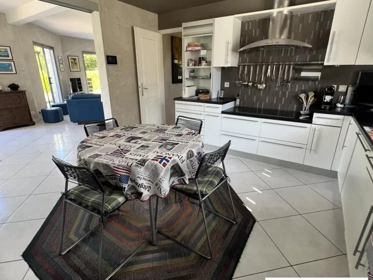 BELLE MAISON CONTEMPORAINE A SULLY SUR LOIRE