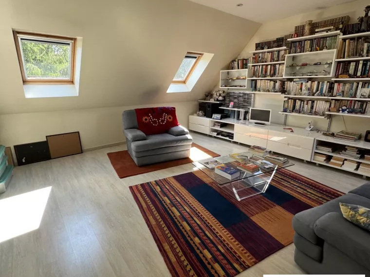 BELLE MAISON CONTEMPORAINE A SULLY SUR LOIRE