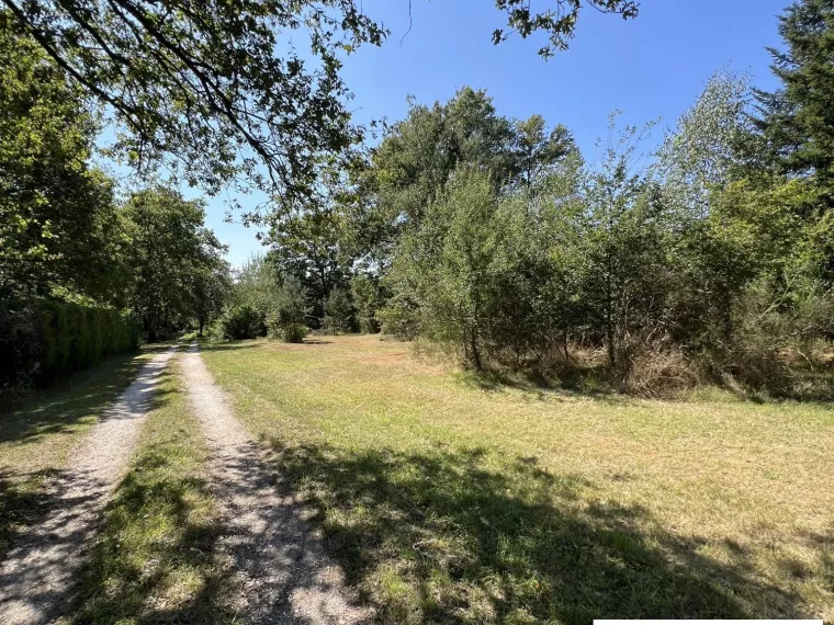 Terrain constructible boisé au coeur de la Forêt d’Orléans. L
