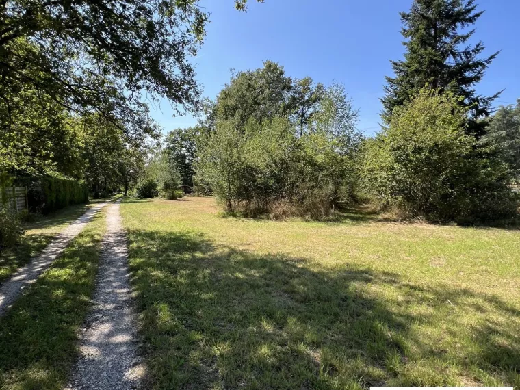 Terrain constructible boisé au coeur de la Forêt d’Orléans. L