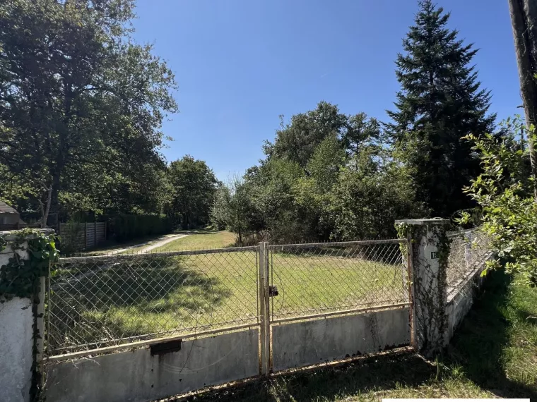 Terrain constructible boisé au coeur de la Forêt d’Orléans. L