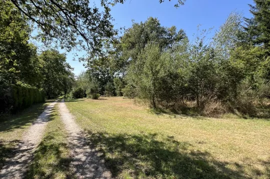 Terrain constructible boisé au coeur de la Forêt d’Orléans. L