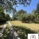 Terrain constructible boisé au coeur de la Forêt d’Orléans. L