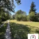 Terrain constructible boisé au coeur de la Forêt d’Orléans. L