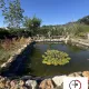 Maison avec piscine