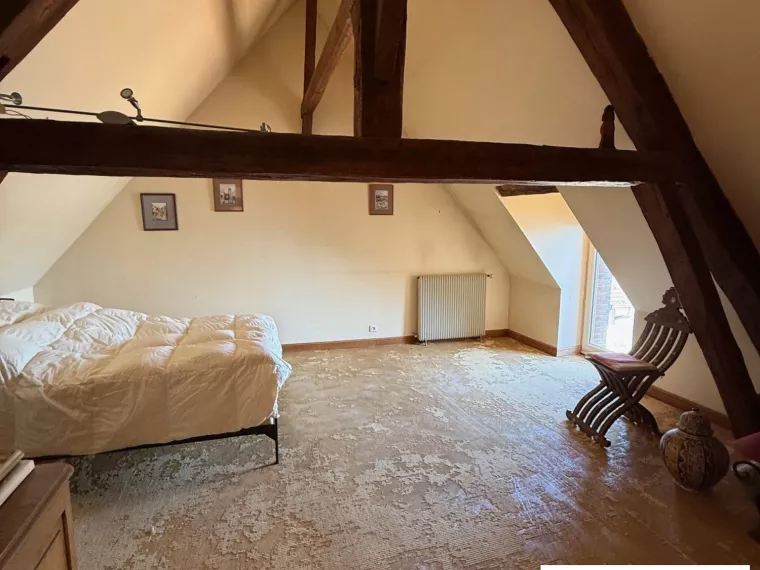 Maison de passeur de Loire vue sur Loire