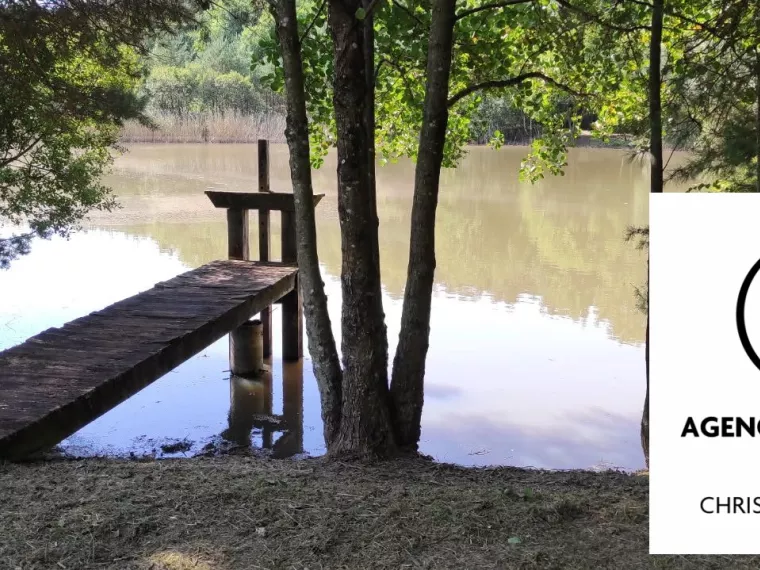 Terrain à vendre Bouzy-la-Forêt