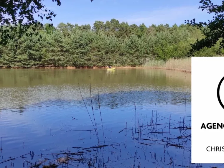 Terrain à vendre Bouzy-la-Forêt