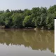 Terrain à vendre Bouzy-la-Forêt