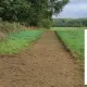 Terrain à vendre Bouzy-la-Forêt