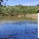 Terrain à vendre Bouzy-la-Forêt