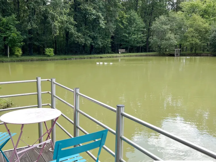 PROPRIETE EXCEPTIONNELLE AU COEUR DE LA FORET A BOUZY LA FORET