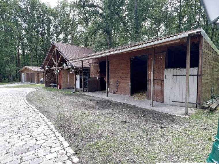PROPRIETE EXCEPTIONNELLE AU COEUR DE LA FORET A BOUZY LA FORET