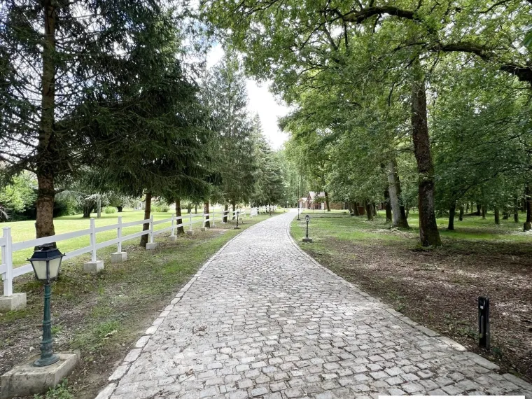 PROPRIETE EXCEPTIONNELLE AU COEUR DE LA FORET A BOUZY LA FORET