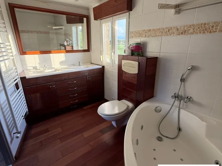 Entre Sully et St Benoit sur Loire Maison sur grand terrain