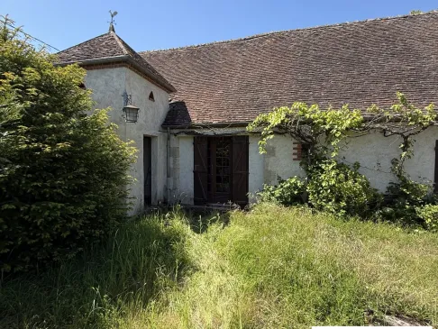 Maison à vendre Saint-Benoît-sur-Loire — 17