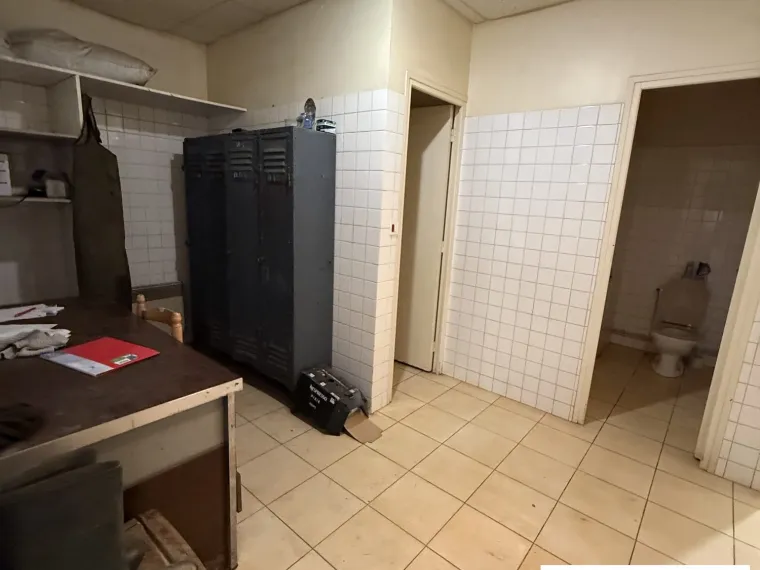 Ensemble immobilier à usage professionnel