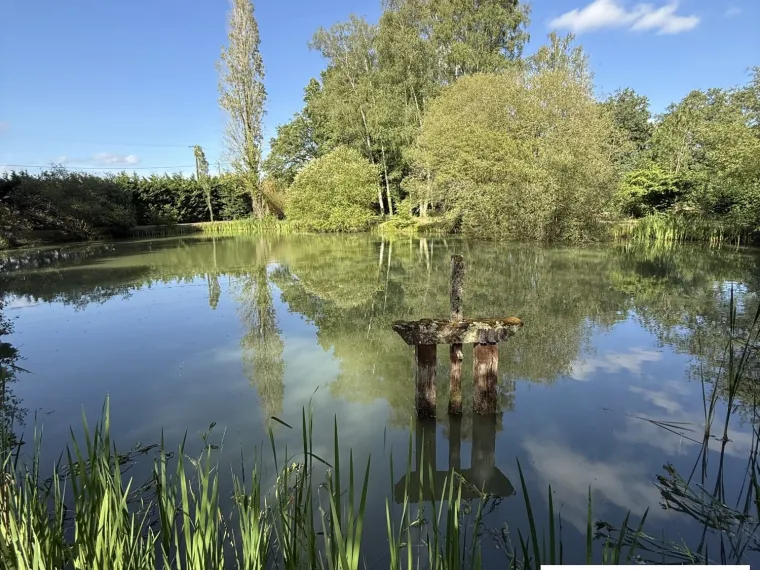 TRES BELLE MAISON DE CAMPAGNE AVEC ETANG