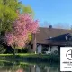 TRES BELLE MAISON DE CAMPAGNE AVEC ETANG