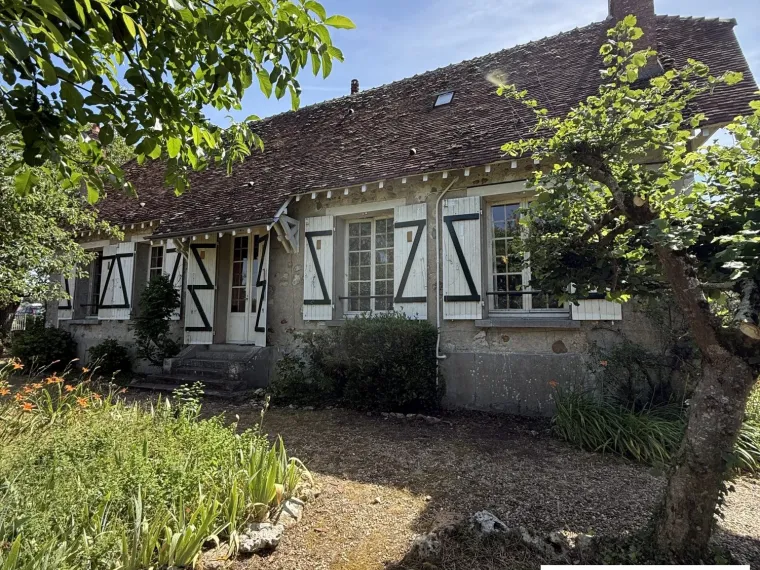 Maison vue Loire au Port de St benoit sur Loire