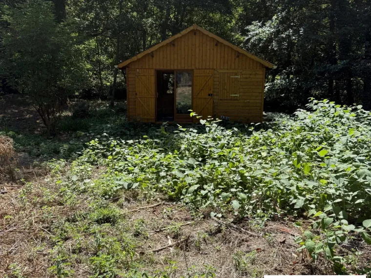 ETANG DE LOISIRS