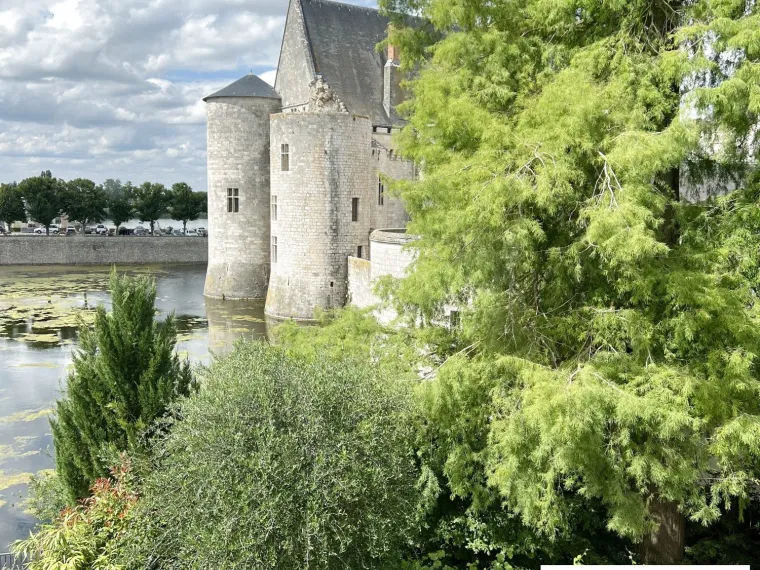 VUE SUR LE CHATEAU DE SULLY SUR LOIRE. GRANDE MAISON DE VILLE PL