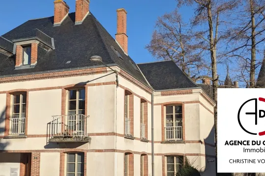 VUE SUR LE CHATEAU DE SULLY SUR LOIRE. GRANDE MAISON DE VILLE PL